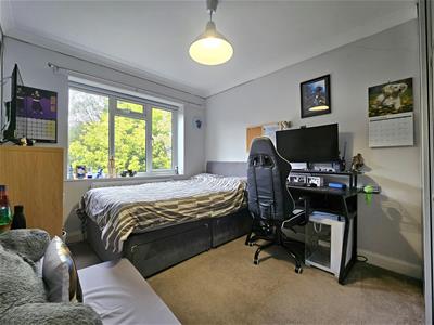 Picture 23